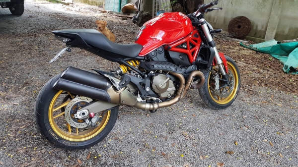 ขายducati m821