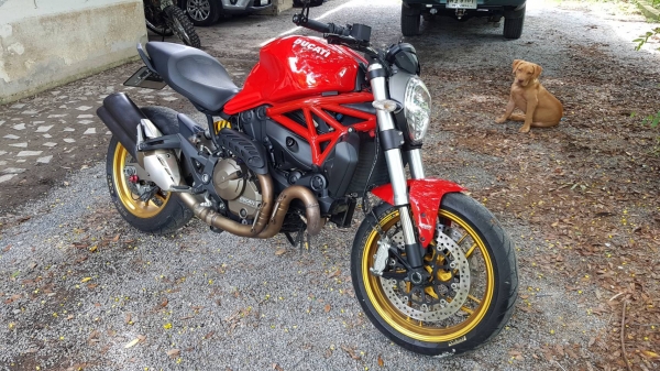 ขายducati m821