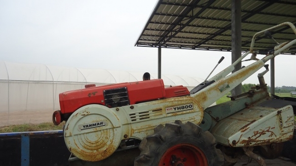 ส่งมอบจ.ขอนแก่น แล้วครับ YANMAR YH800 ดีเชล 8 แรง เก่าญี่ปุ่น ส่งมอบจ.ขอนแก่น แล้วครับ YANMAR YH800 ดีเชล 8 แรง เก่าญี่ปุ่น