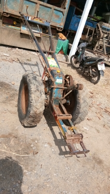 ขายครับตัวสิงสยาม.สภาพดีพร้อมใช้เฟอืงดีเกรียดีน้าใช้ครับ