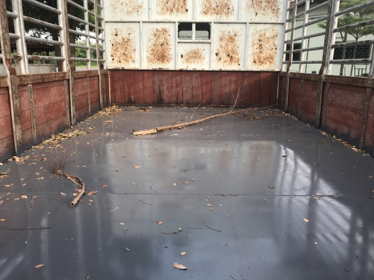 ขาย6ล้อFRR190ยูโร3ปี57 กระบะ-คอกแป็ปยาว4.5ม ไมล์น้อย90,000กว่า เจ้าของมือแรกป้ายแดง ขาย6ล้อFRR190ยูโร3ปี57 กระบะ-คอกแป็ปยาว4.5ม ไมล์น้อย90,000กว่า เจ้าของมือแรกป้ายแดง