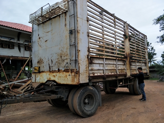 ขายแม+ ลูก FF1J. ปี45. ลูกFTD