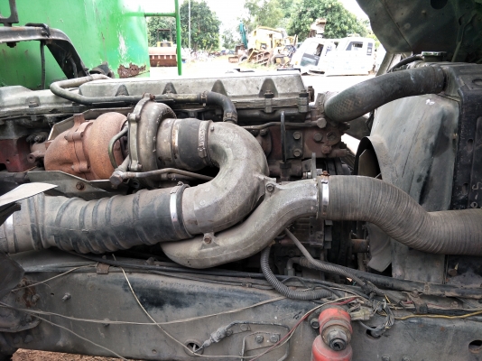 ขายแม+ ลูก FF1J. ปี45. ลูกFTD