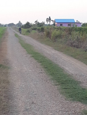 ขายที่ดิน 3 งานๆล่ะ 500,000 บาท