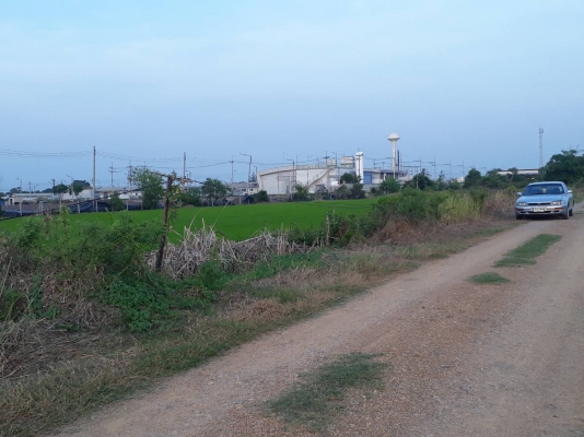 ขายที่ดิน 3 งานๆล่ะ 500,000 บาท