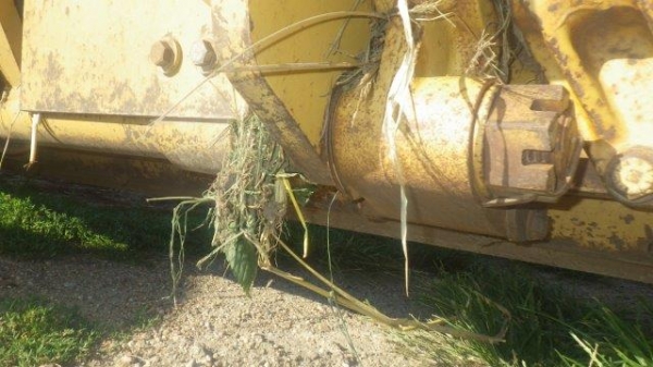 140G 5MD05xxx ปี 1995  7,834 ชม สนใจ 061-4194021 ภู พรภวิษย์  Line : 0614194021