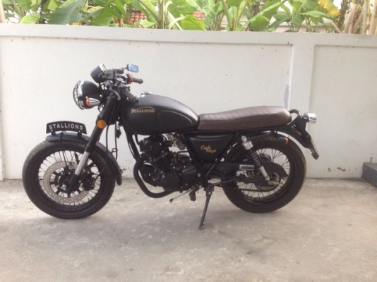 Stallions Centaur Cafe Mega ดำด้าน รุ่นพิเศษ รถ 10 เดือน ใหม่