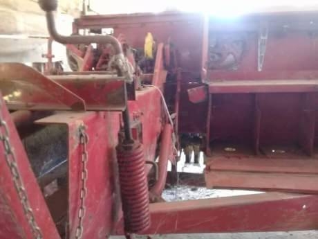 นิวฮอแลนด์377ไช้ปกติ