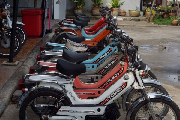 ร้าน  วุฒิ นนบุรี ขายtomos