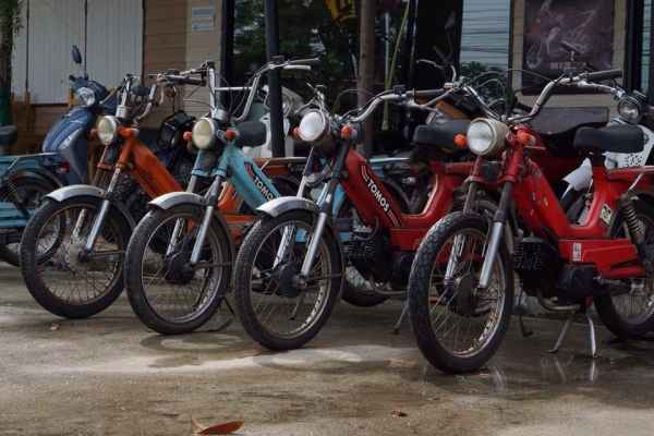 ร้าน  วุฒิ นนบุรี ขายtomos