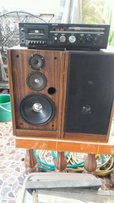 ขายชุดสเตอริโอยกชุด ขายชุดสเตอริโอยกชุด