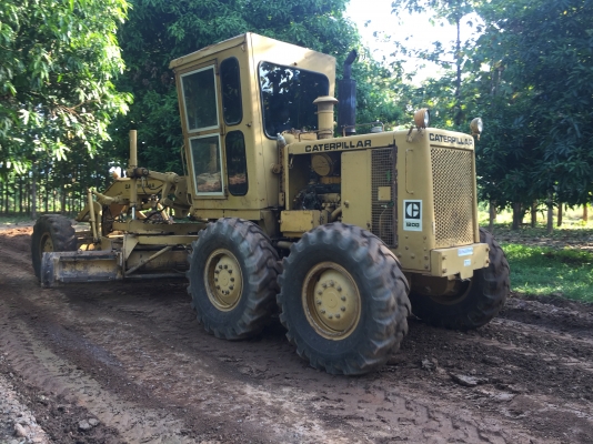 ขายรถเกรด