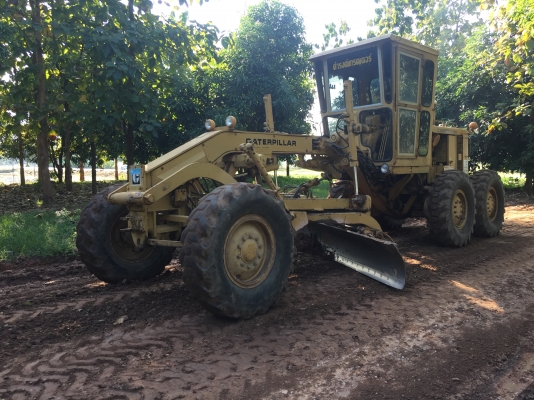 ขายรถเกรด