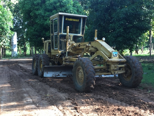 ขายรถเกรด