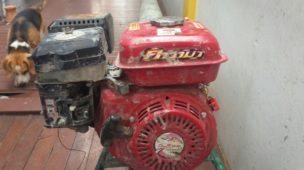 พญานาค 6"x14' เครื่อง 6.5 แรง