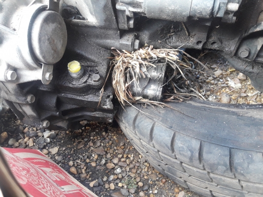 ขายเครื่องพร้อมเกียร์ toyota soluna