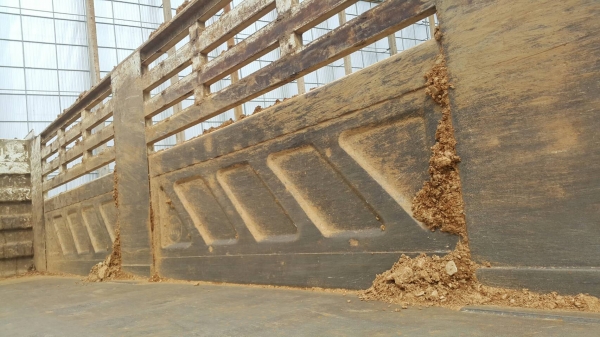 สวยสดรถบ้านคะ  360/2556 ไม่เคยเกิดอุบัติเหตุแน่นอนคะ