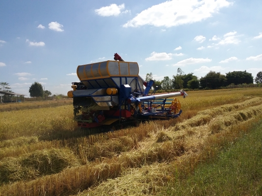 แบ่ง ๆ กันไปใช้ครับ เกี่ยวเสร็จแล้ว 500,000 ลดราคาให้ไปเกี่ยวได้เลย ราคาต่อรองได้ รถกำลังเกี่ยวข้าวครับ  เดิน 10 ht 6hhe 210 + turbo โซ่ 46 ข้อ d2 ปั้ม Dykin 23 สภาพที่ขายไม่ใช่สภาพนี้