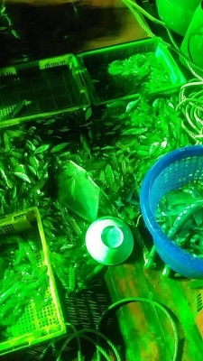 ขายไฟได สปอร์ตไลท์LED48W สว่างโคตS