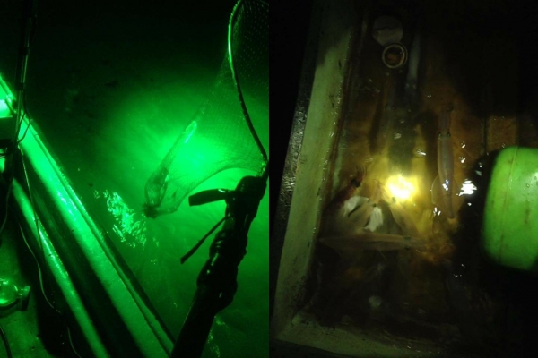 ขายไฟได สปอร์ตไลท์LED48W สว่างโคตS