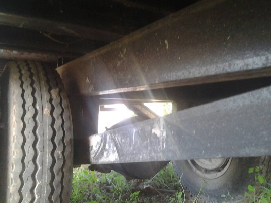 สะลี่ลากอ้อยขนาดใหญ่