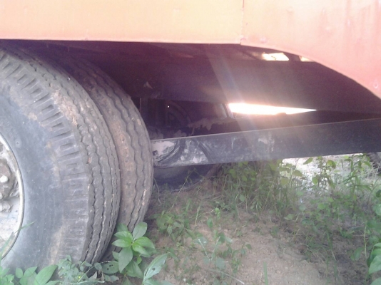 สะลี่ลากอ้อยขนาดใหญ่