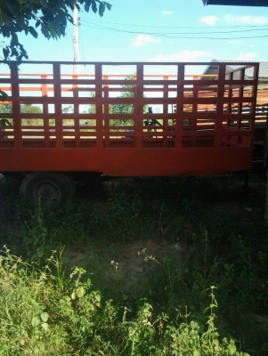 สะลี่ลากอ้อยขนาดใหญ่