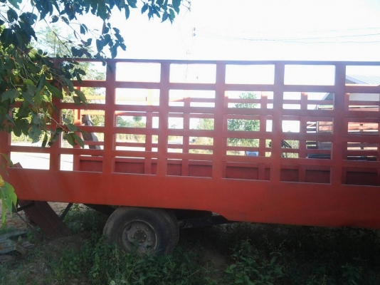 สะลี่ลากอ้อยขนาดใหญ่