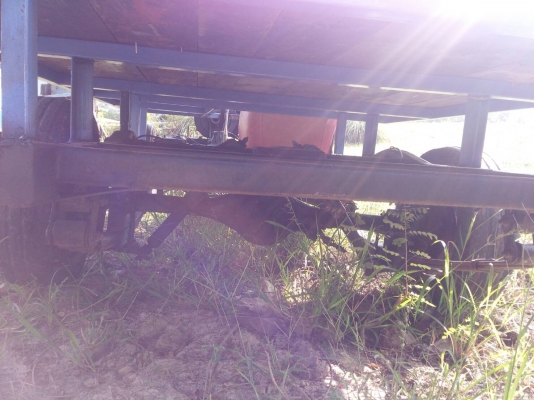 อีแต๋นพร้อมใช้งานสวยๆ อีแต๋นพร้อมใช้งานสวยๆ