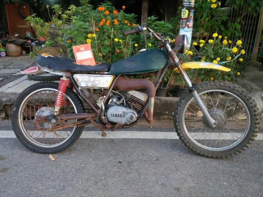 dt100   มีทะเบียน