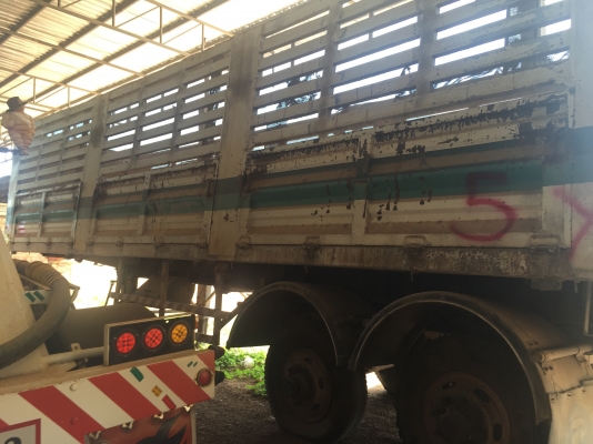 หางพนัดยาว10ม หางพนัดยาว10ม