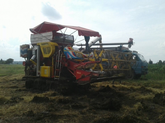 จ้าวช้างปี52 2ปาก จ้าวช้างปี52 2ปาก