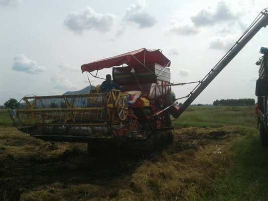 จ้าวช้างปี52 2ปาก จ้าวช้างปี52 2ปาก