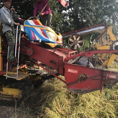 จ้าวช้างปี52 2ปาก จ้าวช้างปี52 2ปาก