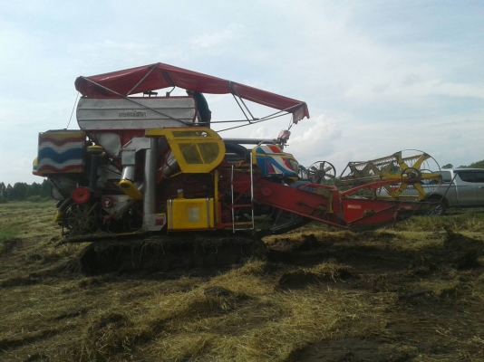 จ้าวช้างปี52 2ปาก จ้าวช้างปี52 2ปาก