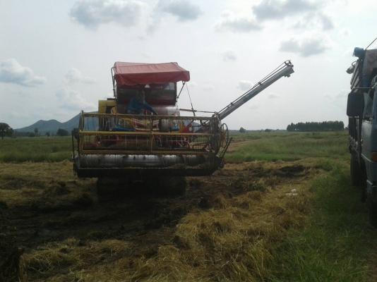 จ้าวช้างปี52 2ปาก