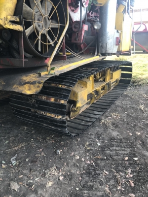 จ้าวช้างปี52 2ปาก จ้าวช้างปี52 2ปาก