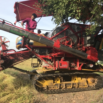 จ้าวช้างปี52 2ปาก จ้าวช้างปี52 2ปาก