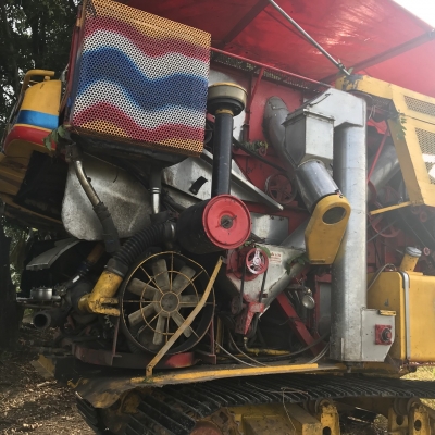 จ้าวช้างปี52 2ปาก จ้าวช้างปี52 2ปาก