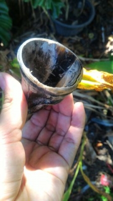 พระแกะสลักด้วยช่างฝีมือชาวลาว เนื้อทนสิทธิ์หายาก ปลุกเสกสายป่า หลังจารยันต์ มีอายุมากกว่า 80ปี น่าสะสม