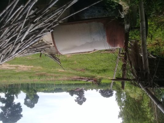 ขายเครื่องล้างถุงพลาสติก