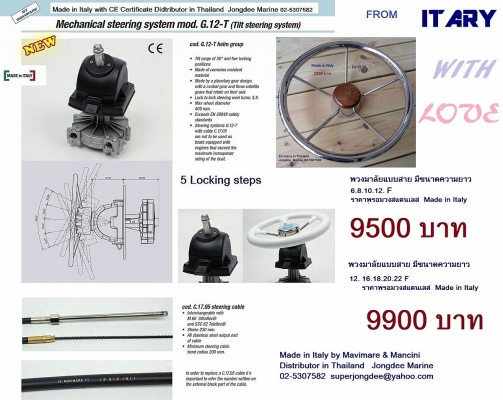Steering system for boats