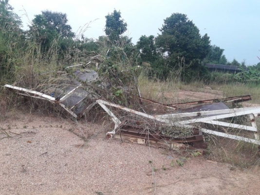 บาอ้อยกล่อง