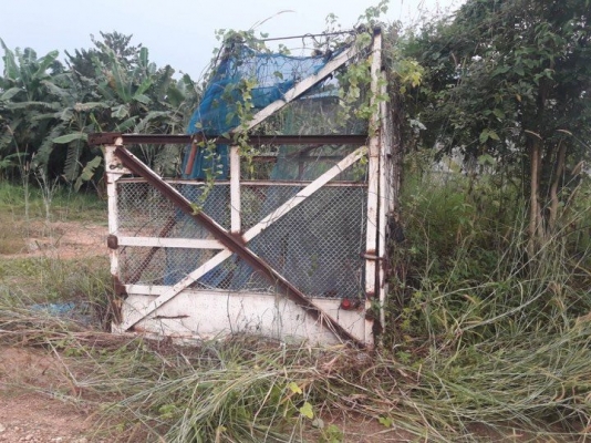 บาอ้อยกล่อง