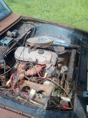 โปรซีดแวนหน้ายักษ์ นักสะสมไม่ควรพลาดครับ  *** ลดกระหน่ำครับ **