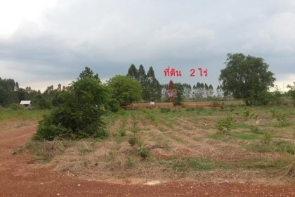 ขายที่ดินเปล่า 2 ไร่ อ.พนมสารคาม ด่วนๆๆๆ