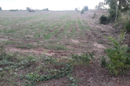 ขายที่ดินเปล่า 2 ไร่ อ.พนมสารคาม ด่วนๆๆๆ