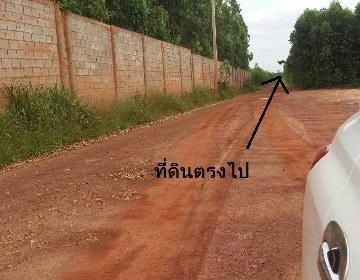 ขายที่ดินเปล่า 2 ไร่ อ.พนมสารคาม ด่วนๆๆๆ