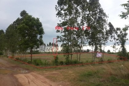 ขายที่ดินเปล่า 2 ไร่ อ.พนมสารคาม ด่วนๆๆๆ