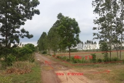 ขายที่ดินเปล่า 2 ไร่ อ.พนมสารคาม ด่วนๆๆๆ
